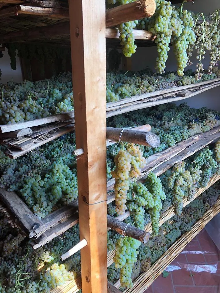 Podere San Giusto Figline Valdarno