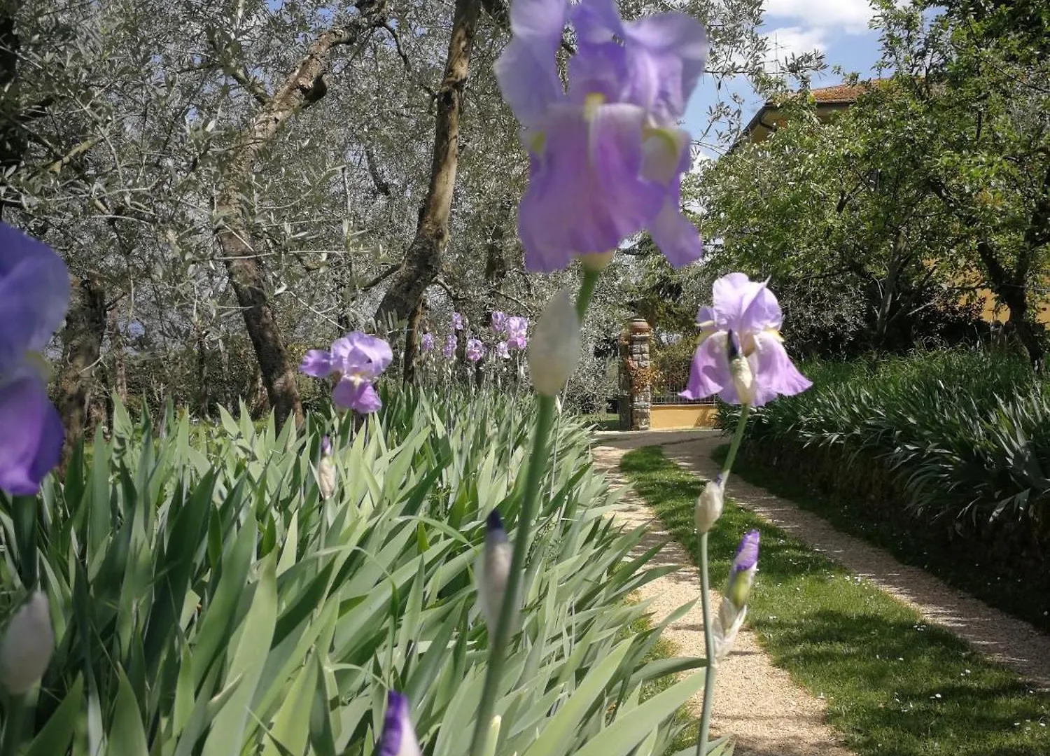 Farm stay Podere San Giusto Figline Valdarno