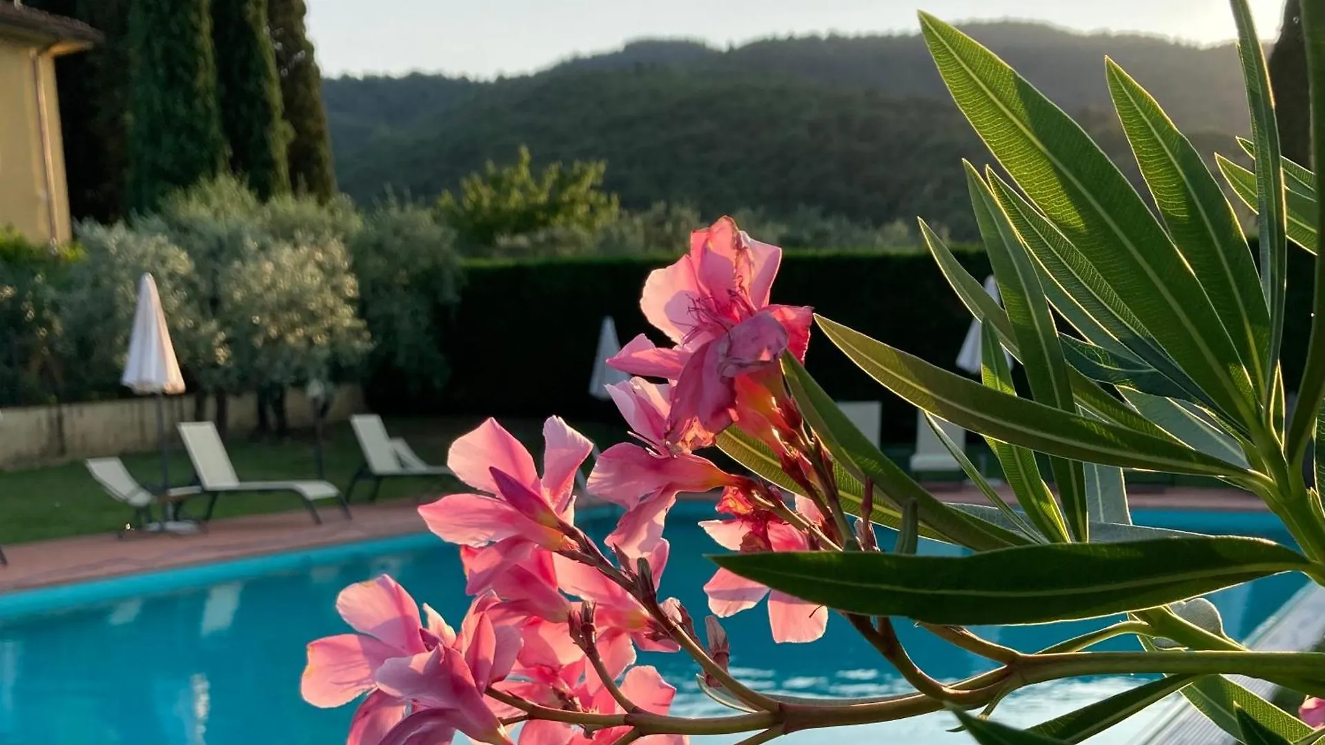Podere San Giusto Figline Valdarno